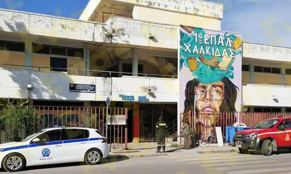 Χαλκίδα: Εξωσχολικοί έβαλαν φωτιά και διέλυσαν υπό κατάληψη σχολείο!